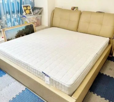 <a href=http://m.hzmz.com.cn/news_article.html?news_id=174>天津床墊廠家</a>